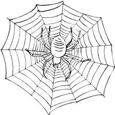 Every web page is identified by a unique url(uniform resource locator). Coloring Page For Kids Spider Coloring Page Spider Web Coloring Pages