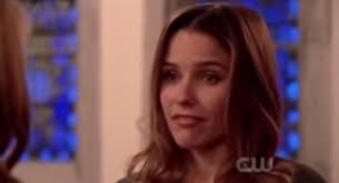 My Names Payton Haleys Maid of Honor