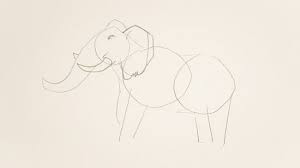 Untuk anda yang sedang membutuhkan gambar sketsa gajah, kami mempunyai beberapa koleksi gambar gajah yang bisa anda jadikan bahan. 4 Cara Untuk Menggambar Gajah Wikihow