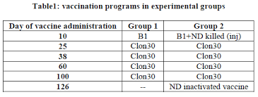 Evaluation Of Two Different Newcastle Disease Vaccination