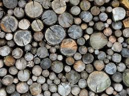#3 best value of 102 places to stay in flagstaff. The Best Firewood For Your Wood Stove Or Fireplace