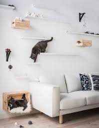 10 Ikea Hacks Die Katzen Ihre Besitzer Glucklich Machen Hund Kisten Mobel Katzenregale Rauminspiration