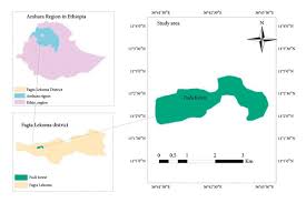 Image result for Erythrococca trichogyne