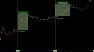 Maximum bitcoins count is 21 000 000 btc. Bitcoin Halving What You Need To Know Crypto Pro