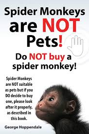 Never run out of power with this generous pack of 10 batteries. Spider Monkeys Are Not Pets Do Not Buy A Spider Monkey Spider Monkeys Are Not Suitable As Pets But If You Do Decide To Buy One Please Look After It Amazon Co Uk Hoppendale