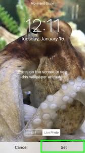 Now that you know how to make your own wallpaper, you can experiment with new ways and new images. How To Create Dynamic Wallpapers On Iphone The Iphone Faq