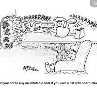 Inflatable Sofa Cartoons and Comics - funny pictures from ...