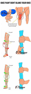 Pin On Neuro Kinesio Education