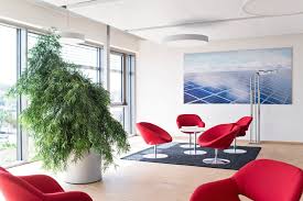 Kasseler straße 3, 34266 niestetal. Garten Landschaftsbau Kassel Innenraumbegrunung