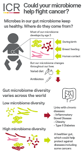 If you come into contact with it at your job, wear protective gear. The Institute Of Cancer Research The Microbes That Make Up Our Gut Microbiome Help Control Our Metabolism And Immune Systems And They Also Play A Role In Cancer Professor Sir