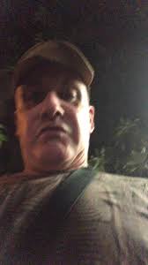 Leonardo da gal's art in recovery