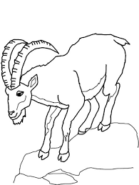 The coloring page is printable and can be used in the classroom or at home for kid. Mountain Goat Coloring Pages Learny Kids