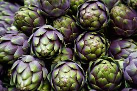 Artichoke having the scientific name as cynara cardunculus belongs to the genus cynara l. Eat Your Heart Out Globe Artichokes Are Back Oliver S Markets