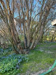 Image result for site:byggahus.se stammar