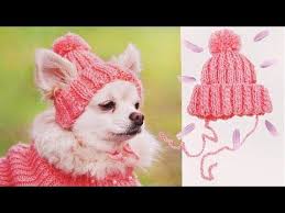 Shapka Dlya Sobaki Diy Hat For Dog Youtube Crochet Dog Clothes Dog Clothes Diy Crochet Cat Hat