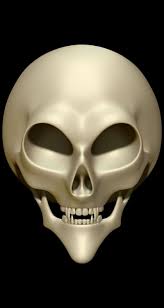 Skull 3d Model Skull Decor Human Structure Anatomy Bones Decoration Skeleton Face People Man Science Design Bone Fantasy Interio Skull Alien Skull Skull Decor
