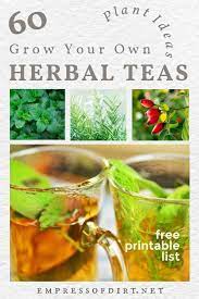 How to grow a tea garden. 60 Herbal Plants To Grow For Homemade Tea Empress Of Dirt