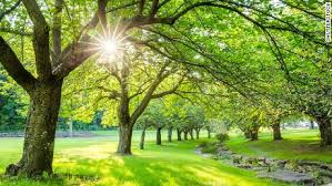 The summer to my heartbeat sound we fell in love as the leaves turn brown and we could be together baby as long as skies are blue you act so innocent now but you lied so soon when i met you in the. Hs Yrm9qyebjpm