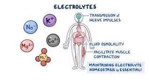 Image result for Electrolyte