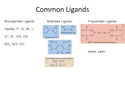 Several websites define an ambidentate ligand as being monodentate. Coordination Chemistry Ligands Bonding To Metals Ppt Download