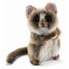 Rainforest Animal Eu Preciso Muito Dessa Coisa Mais Fofa Rainforest Animals Unusual Animals Plush Animals