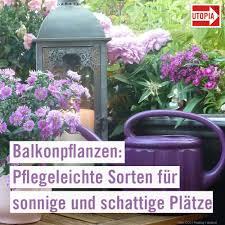 Pin Auf Nachhaltig Im Garten