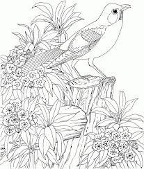 Finding quiet time for yourself right now can seem daunting. Free Adult Coloring Pages Landscapes Coloring Home