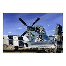 We did not find results for: P 51 Mustang Posters Prints Zazzle