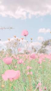 Pink Flower Wallpaper Iphone Pink Flowers Wallpaper Pink Flowers Background Flower Wallpaper