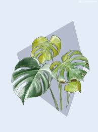 Pin On Plant Art