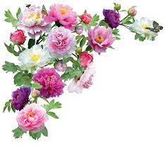 Peoniespng By Kmygraphic D6reb1m Png 947 844 Flower Border Png Hd Flowers Flower Backgrounds