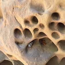 Some circular designs with rays or spokes look like sun symbols, but the real meanings are not known. Chumash Painted Cave State Historic Park 153 Photos 45 Reviews Landmarks Historical Buildings Hwy 154 Painted Cave Rd Santa Barbara Ca