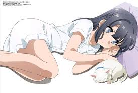 Moetron News Seishun Buta Yarou Wa Yumemiru Shoujo No Yume Wo Seishun buta yarou, series, sakurajima anime poster canvas wall art living room modern decoration no frame. seishun buta yarou wa yumemiru shoujo