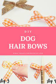 Check out the tutorial for this charming bow at diy projects for teens! Diy Dog Hair Bows The Southern Thing