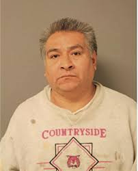 ᐅ Illinois Criminal Records 2009-2025