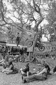 The Photography Of Pulsating Paula A Visual Record Of New Jersey Bikes Ink Motorcycle Harley Harley Harley Davidson
