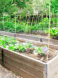 Vor einer auslandsreise studiert man gründlich landkarten, prospekte usw., um das reiseland besser kennen zu lernen. Ein Hochbeet Befullen So Geht S Richtig