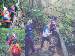 If you opt for bukit putus, one has to walk 3km back to ulu bendul, which is what we did. 9 Jam Mendaki Gunung Angsi Bersama Anak Anak Yang Comel