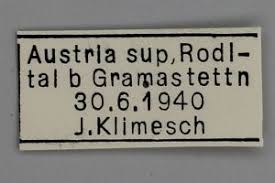 Image result for Telechrysis tripuncta