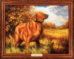 Linden's vizslas, vizsla, puppies, breeders, cardington, ohio. Not Sure That This Is The Best Image To Use In An Ad For Dog Food Poor Dog Is So Overweight It Isn T Even Funny Poor Dog Dog Food Recipes Dogs