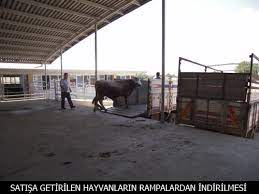 edirne ticaret borsasi baskanligi