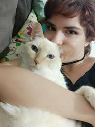 Dog Walking in Rua Professora Dorac, Portão