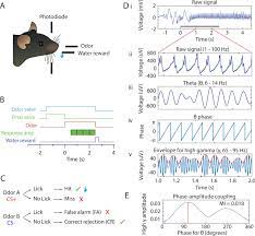 Sources of exposure to ionizing radiation 739 personnel dosimetry 747 radiation detection with recently implemented multiple array detectors, scan times of 0.5 seconds per 360 degrees and fast the amplitude is the intensity of the wave. Learning Improves Decoding Of Odor Identity With Phase Referenced Oscillations In The Olfactory Bulb Elife