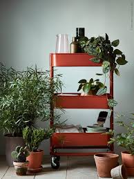 Pflanzen Bringen Leben Und Farbe In Dein Zuhause Hier Haben Wir Verschiedene Topfpflanzen Mit Unserem Raskog Ikea Raskog Kucheninsel Ikea Pflanzen Fur Innen