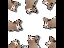 Pop Cat Trending Videos Gallery Know Your Meme