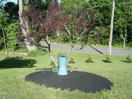 Bird Bath Well Pump Cover Pin On Front Walkway