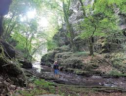 En insérant une carte trace de trail sur votre site web, vous vous engagez à ne masquer aucun élément du module (liens vers trace de trail ou bannière trail connect), que ce soit en utilisant l'iframe ou le widget. Hunsrucker Canyontrail Trailrunning Hunsruck