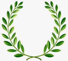 Resultats De Recherche D Images Pour Rameau D Olivier Ramos De Oliveira Coroa De Louros Tatuagem Coroa