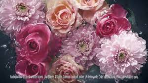 Maybe you would like to learn more about one of these? Mother S Day Flowers M S Youtube