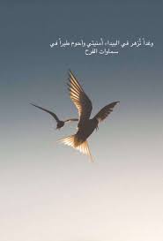 Arabic Quotes Beautiful Arabic Words Proverbs Quotes